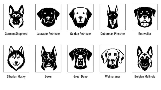 Set of ten vector illustrations of different dog breed head silhouettes.