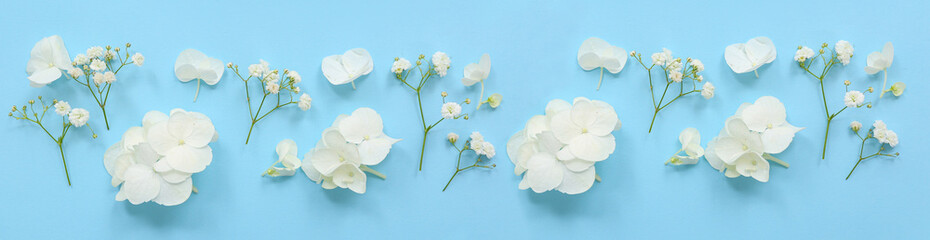 Fototapeta premium White hydrangea and baby's breath flowers arranged on a light blue background for floral design and spring concepts, this floral composition creates a serene and fresh aesthetic