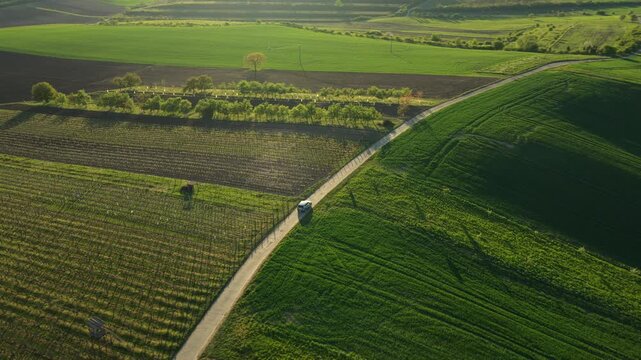Aerial drone view of a white van on a rural road among vineyards, plowed fields, and tree rows with a grain silo visible in the background, Moravia, Czech Republic.