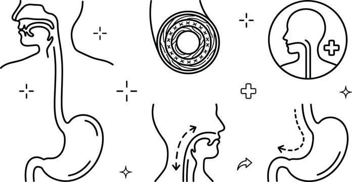 Human Digestive System and Endoscopy Line Icon Set for Gastroenterology Medical Media Designs