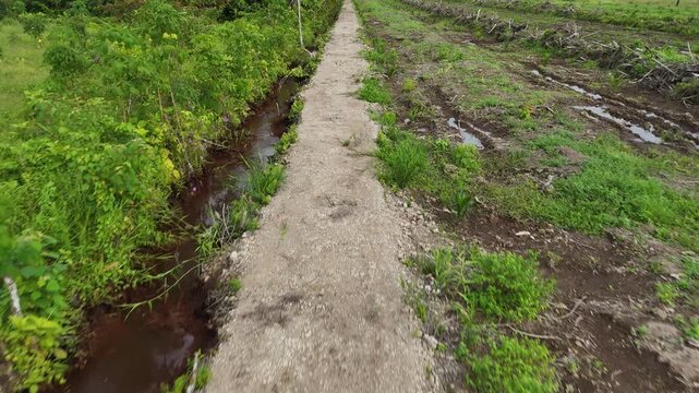 A narrow dirt path between an irrigation ditch and a freshly plowed field in a tropical rural landscape.