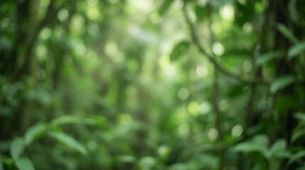 Fototapeta premium Blurred green foliage background with soft bokeh lights creating a serene and natural abstract pattern in a forest setting
