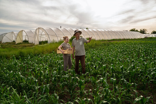 Father and daughter together on the corn field, while bunch a greenhouses are behind them