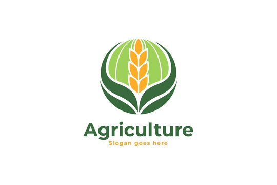 Agriculture company logo design template