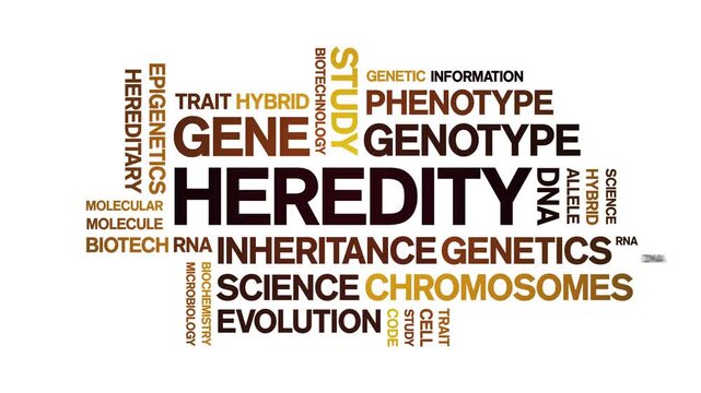 Heredity animated word cloud-text design animation tag kinetic typography seamless loop.