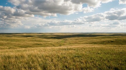 Obraz premium Vast Grassland Landscape beautiful background design concept