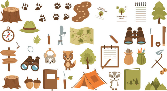  Forest scouting and outdoor camping vector elements set featuring adventure tent binoculars animal tracks and hiking gear for nature education marketing materials