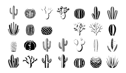 Isolated Cactus Plants Vector Illustration Set with Succulent Desert Species © Mdyounus