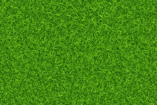 Vibrant green grass texture background. Fine moss or turf noise pattern surface for fresh nature landscape layout.