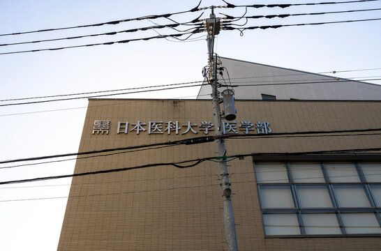 日本医科大学 医学部（東京都文京区千駄木）
