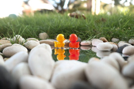 Creative Miniature Scene of Two Toy Ducks Facing Each Other on a Mirror with White Pebbles and Green Grass Background