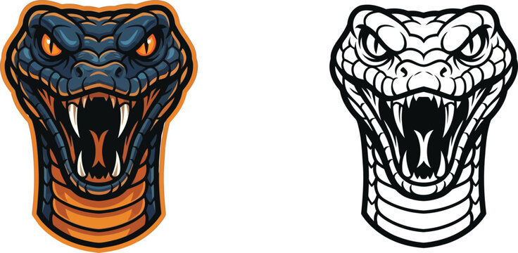Detailed illustration of a venomous snake's head, featuring an open mouth, prominent fangs, and intense eyes, available in full color and line art.