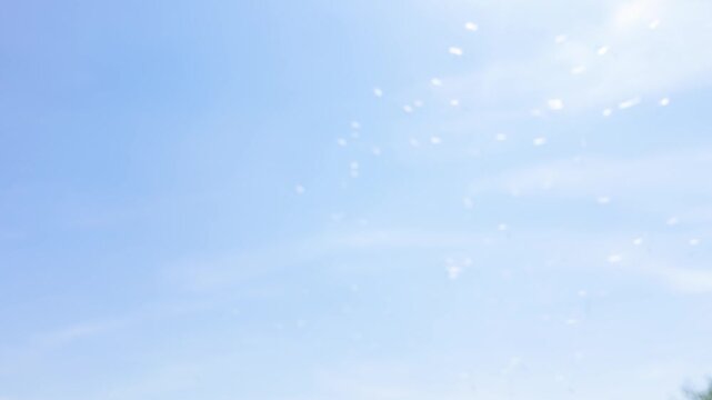 White Dandelion Seeds Blowing in the Wind Over Italian Hills