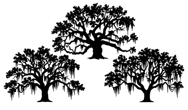 Southern live oak and Spanish moss silhouette vector assortment in black and white style