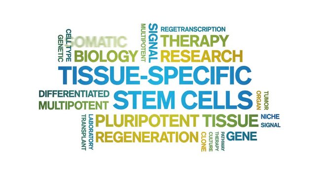 tissue-specific stem cells animated word cloud-text design animation tag kinetic typography seamless loop.