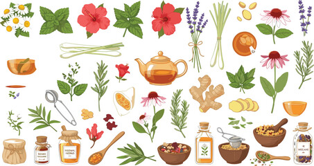 Organic herbal tea ingredients and botanical elements set featuring teapot ginger chamomile lavender hibiscus and echinacea flowers for natural wellness packaging design © AntarChandra