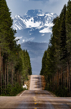 Scenic mountain road through pine forest with snow covered peaks