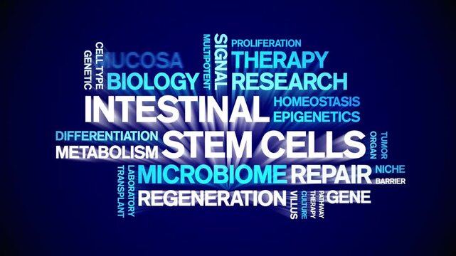 intestinal Stem Cells animated word cloud-gross domestic product animation tag kinetic typography seamless loop.