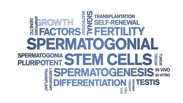 Spermatogonial Stem Cells animated word cloud-gross domestic product animation tag kinetic typography seamless loop.