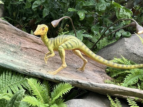 dino in the park