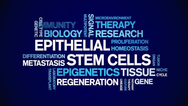 Epithelial Stem Cells animated word cloud-gross domestic product animation tag kinetic typography seamless loop.