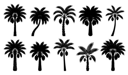 Date palm silhouette collection with tropical fruit clusters vector graphics isolated on white background © abdul