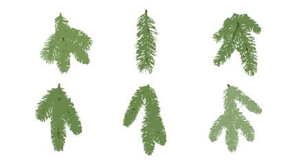 Six Fir Branches With Needles Isolated On Black Background © babul