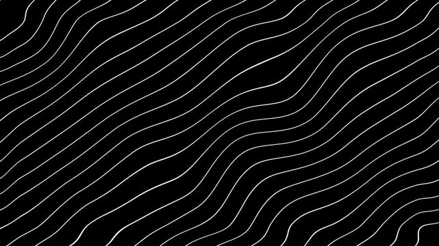 Grey abstract curved wavy lines on black background.
curvy lines pattern seamless loop copy space background animation. Abstract white wavy lines on black background animation.