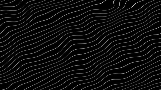 Grey abstract curved wavy lines on black background.
curvy lines pattern seamless loop copy space background animation. Abstract white wavy lines on black background animation.