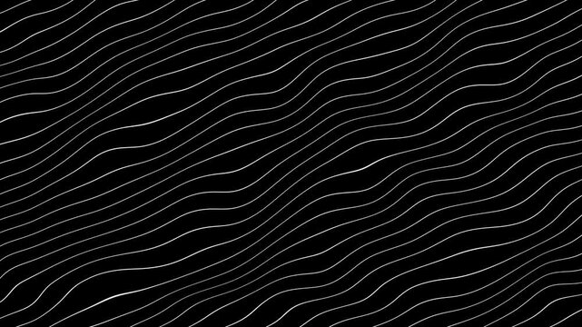 Grey abstract curved wavy lines on black background.
curvy lines pattern seamless loop copy space background animation. Abstract white wavy lines on black background animation.