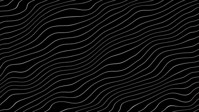 Grey abstract curved wavy lines on black background.
curvy lines pattern seamless loop copy space background animation. Abstract white wavy lines on black background animation.