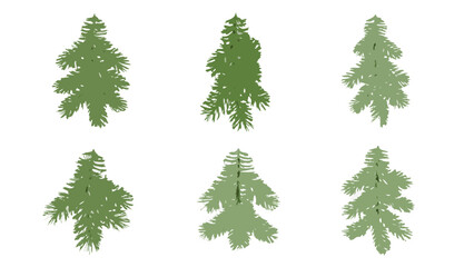Six Fir Branches With Textured Needles On Black Background © Tilottama