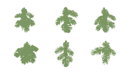 Fir Branches Collection Green Vector Illustration On Black Background © Tilottama