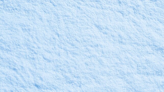 Close-up image of a textured surface covered in finely granulated white powder or snow.