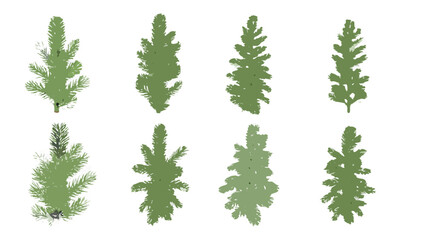 Six Fir Branches Isolated Vector Illustration On Black Background © tuli