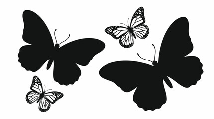 Four butterflies in flight formation. © Ira Project