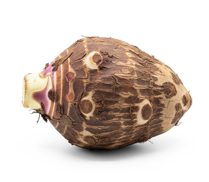 A taro root rests on a transparent background. The root has a rough, textured exterior with dark brown markings and a small white tip.