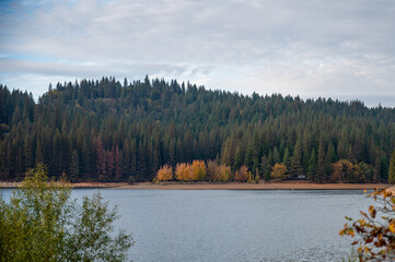 Dense pine forest with autumn foliage patch across a mountain lake © Oasis23