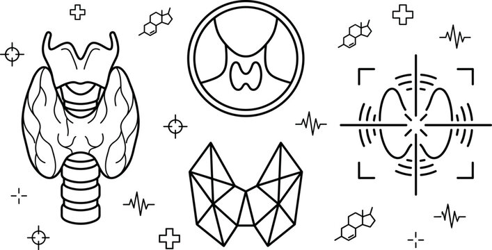 Human Thyroid Gland Anatomy and Endocrinology Line Icon Set for Medical Media Designs
