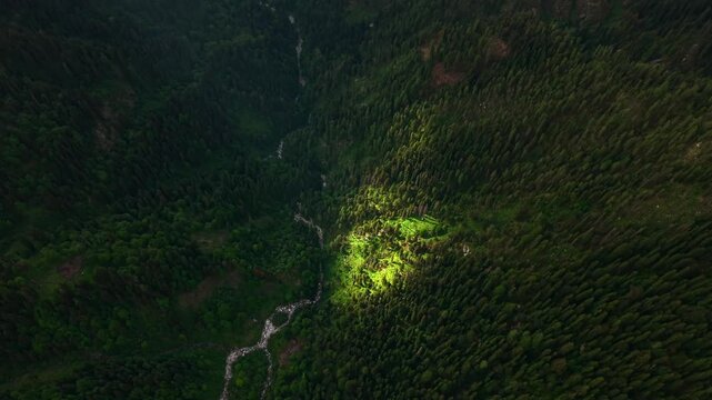 Aerial top down orbit over dense pine forest and winding river with a sunlight clearing on Parvati valley floor, Himalayan mountains