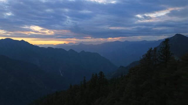 Dolly in flyover above pine trees canopy at sunset near Sar Pass Trek, Parvati Valley, Himalayan mountains