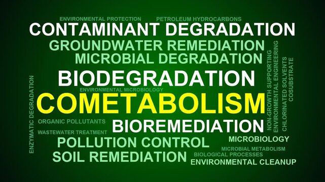 Cometabolism Word Cloud