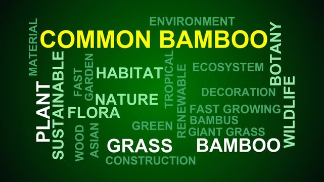 Common Bamboo Word Cloud