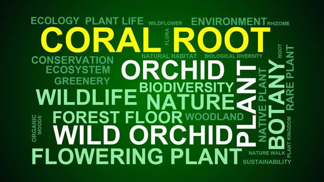 Coral Root Word Cloud