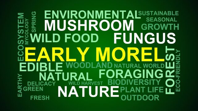 Early Morel Word Cloud