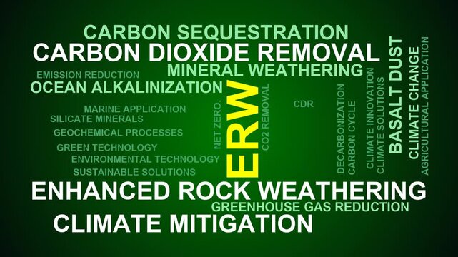 Erw Word Cloud