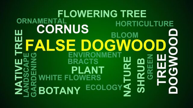 False Dogwood Word Cloud