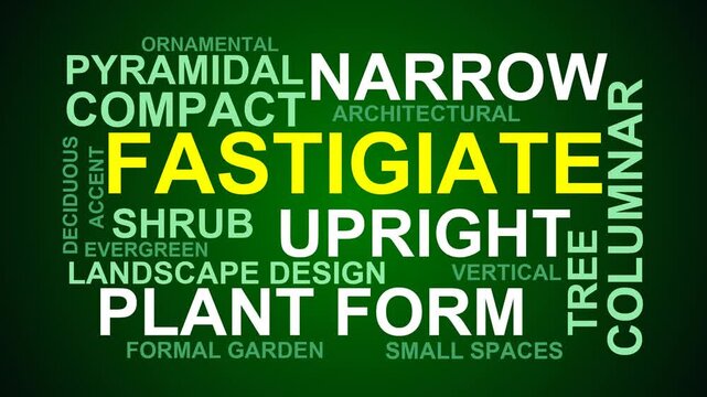 Fastigiate Word Cloud