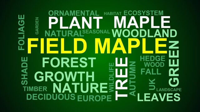 Field Maple Word Cloud