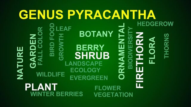 Genus Pyracantha Word Cloud